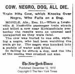 23.cow_negro_dog